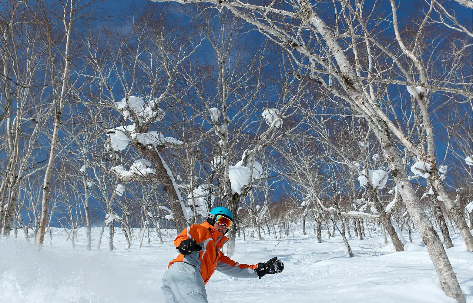 1對1 滑雪私人教練課程
